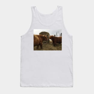 Scottish Highland Cattle Bulls 2341 Tank Top